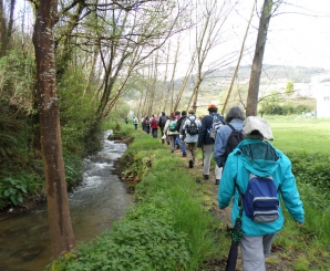 O percorrido tivo lugar ao carón do río Ferreiravella