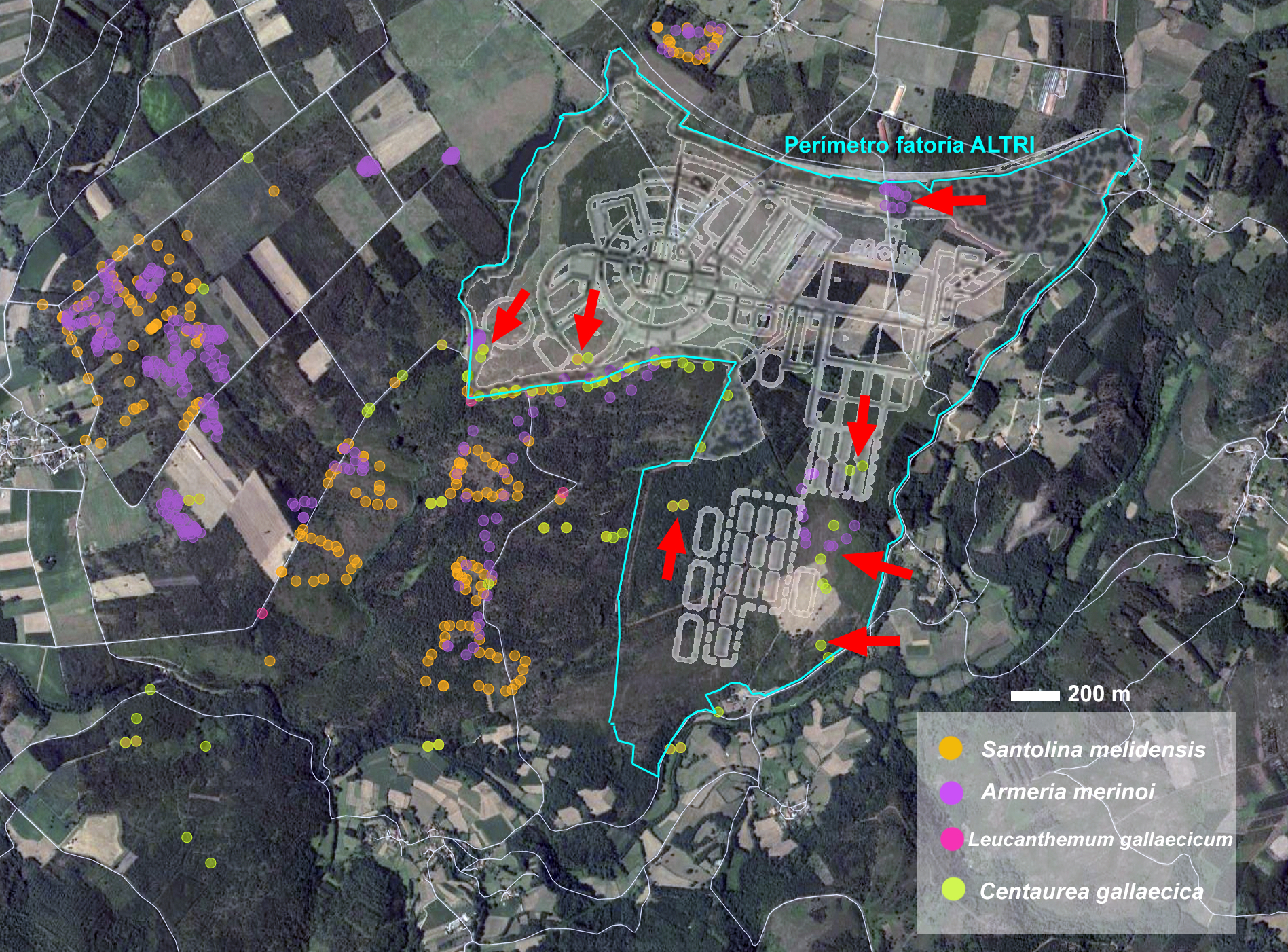 Figura 2. Endemismos botnicos afectados polo proxecto. Fonte: biodiversidade.eu