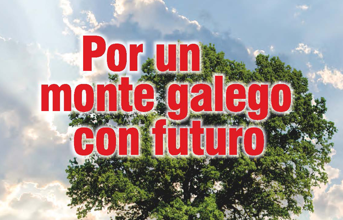 Campaa Alianza Por un monte galego con futuro