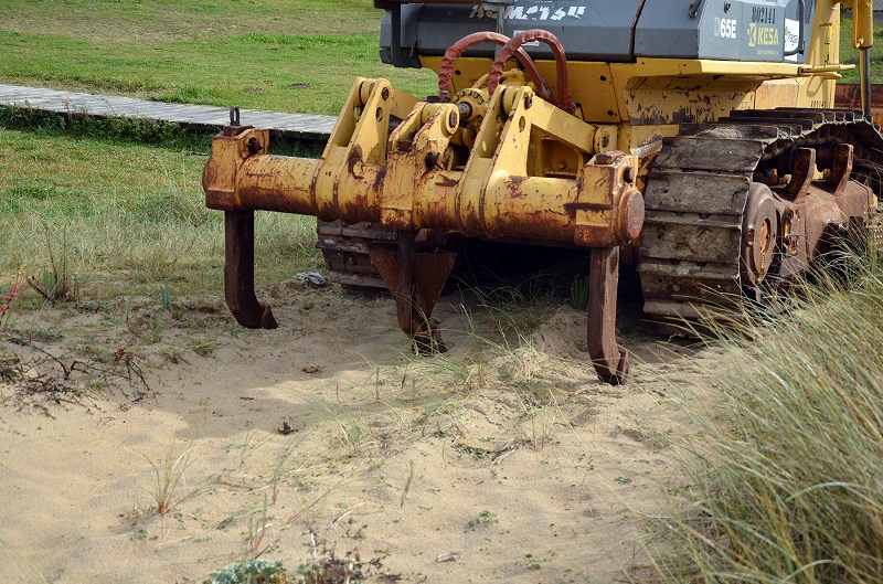 Escavadora sobre dunas fixas