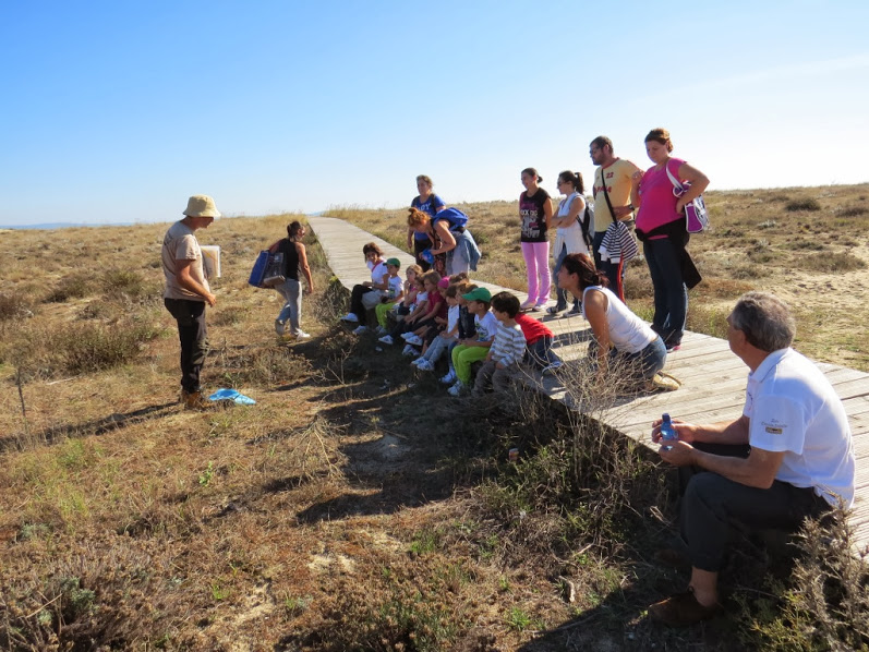 Educacin ambiental