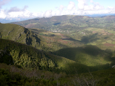 A nova lei de montes desprotexe os montes e as persoas contra os lumes forestais e a especulacin