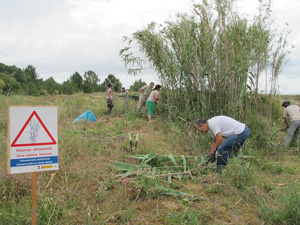 Crnica do campo de voluntariado na praia da Corna