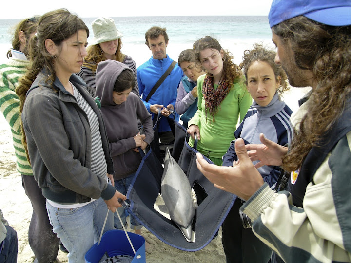 Cursos de formaci�n de voluntariado ambiental da CEMMA