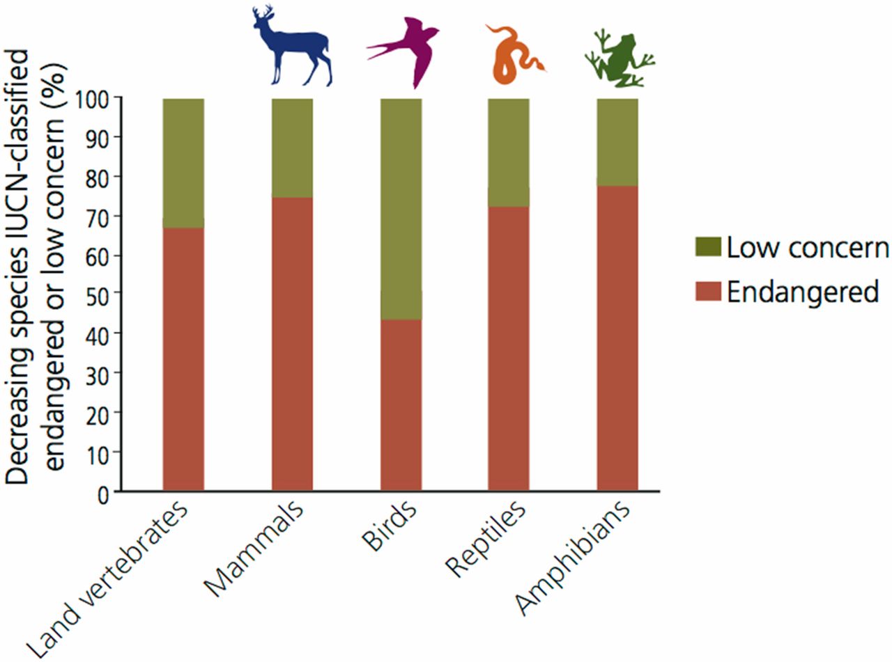 Biological annihilation via the ongoing sixth mass extinction signaled by vertebrate population losses and declines