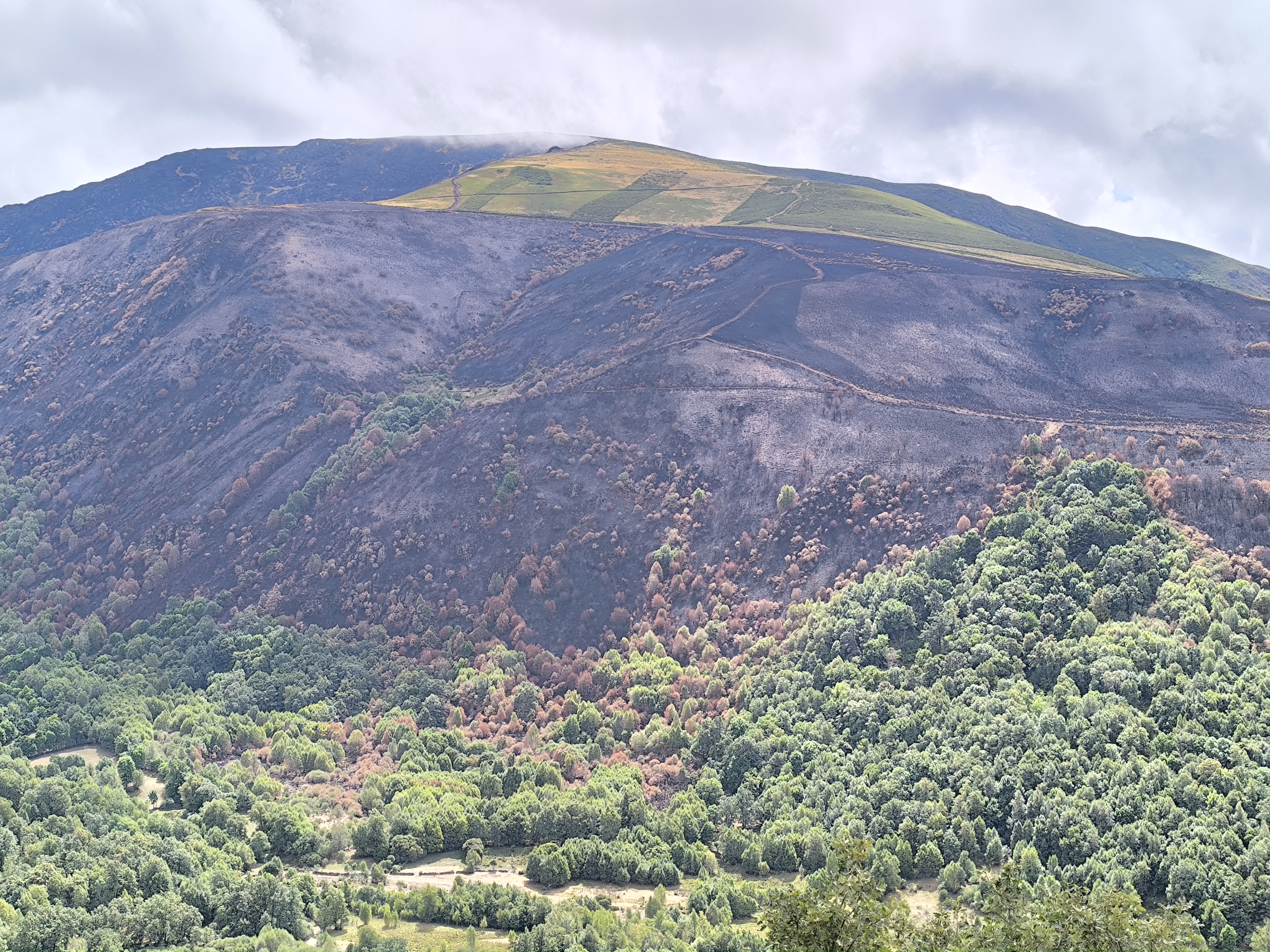 Pena Trevinca