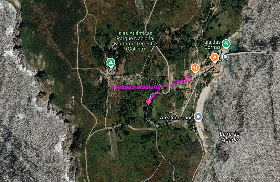 Mapa dos exemplares de C. insularis eliminados (biodiversidade.eu)