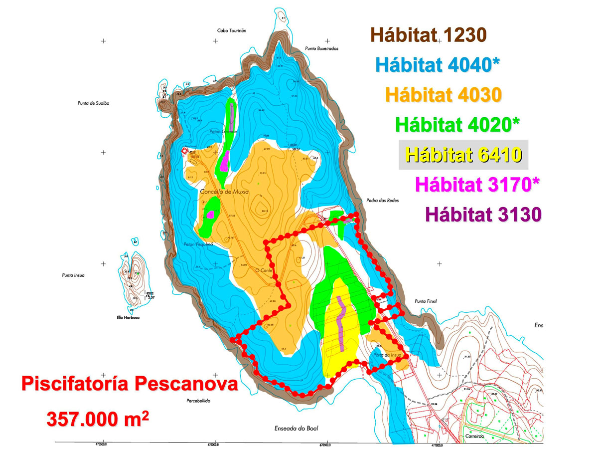 Hbitats afectados pola piscifatora de Pescanova en Tourin