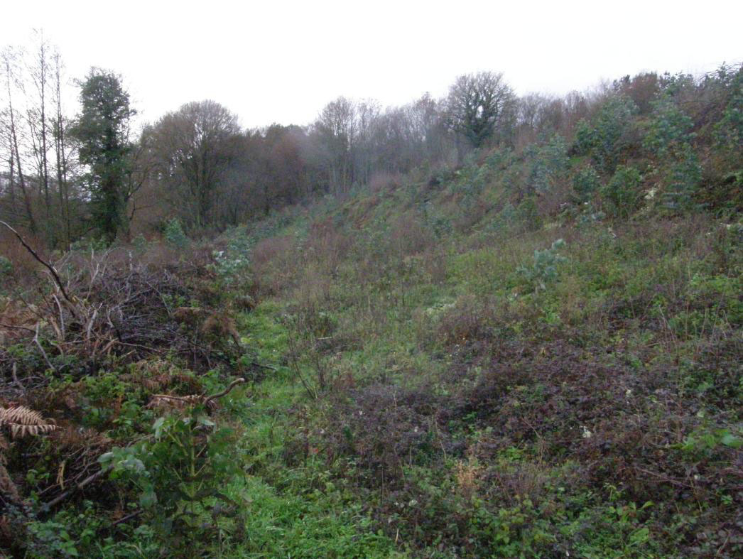 Vista xeral da plantaci�n ilegal de R�bade